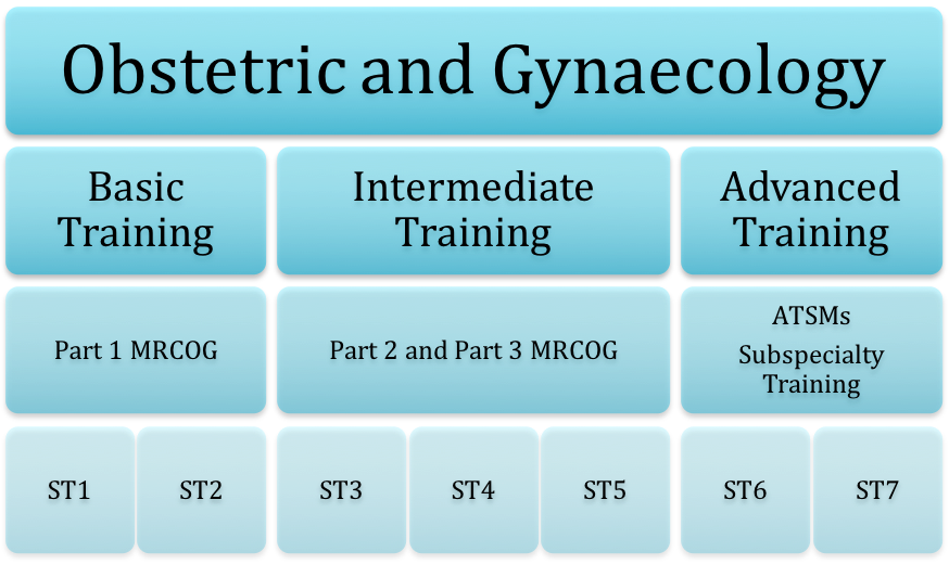 Obs and Gynae ST1 Training Pathway