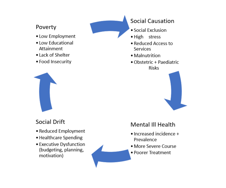 MRCPsych Part A – Social Class and Inequality