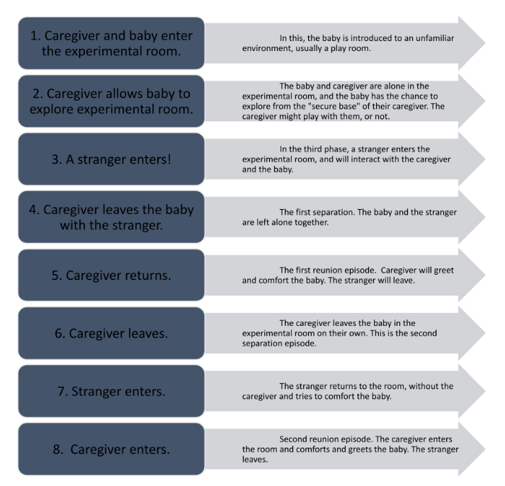 MRCPsych Part A - Types of Attachment – Secure and Insecure