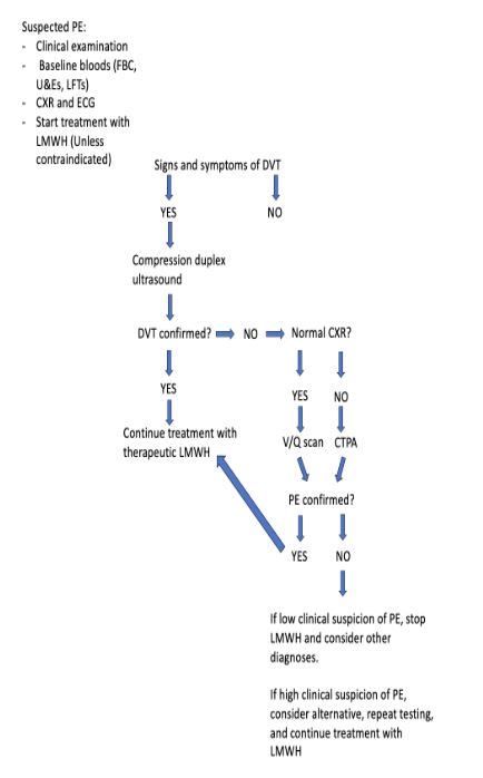 suspected PE in pregnancy and puerperium.