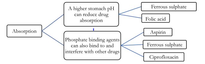 Pharmacokinetic alterations in renal impairment