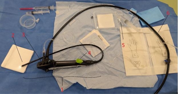 Flexible cystoscopy equipment labelled 1 to 6